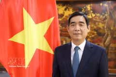 越南驻泰国大使范越雄。图自越通社