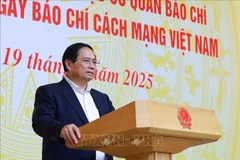 越南政府总理范明政发表讲话。图自越通社