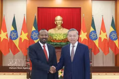 越共中央总书记、国家主席苏林和埃塞俄比亚总理阿比·艾哈迈德·阿里。图自越通社