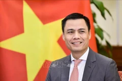 外交部副部长邓黄江。图自越通社