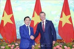 越南政府副总理陈红河会见俄罗斯联邦委员会第一副主席安德烈·亚茨金。图自越通社