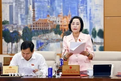 国会副主席阮氏清发表讲话。图自越通社