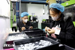 Cotec塑料有限责任公司。图自越通社