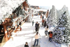 在一年即将结束之际，梦幻般的大叻披上了热闹的圣诞盛装。图自：baodautu.vn