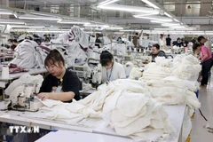 附图：2026年两位数的增长目标完全可行。图自越通社