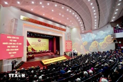 新胡志明市市委第一次代表大会(2025—2030年任期)隆重开幕。图自越通社
