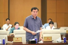 工贸部副部长阮生日新发表讲话。图自越通社