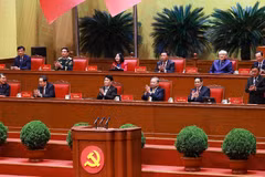 越共十四大主席团。图自越通社