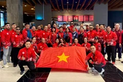 越南健美队在世锦赛上斩获三项亚军。图自越通社