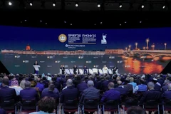 第28届圣彼得堡国际经济论坛场景。图自越通社