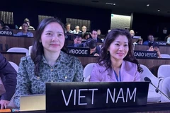 越南常驻教科文组织代表团团长阮氏云英大使与文化体育与旅游部国际合作司司长、越南《2005年公约》国家协调机构代表阮芳和博士出席会议。图自越通社