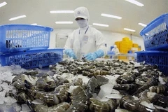 虾类加工链。图自互联网