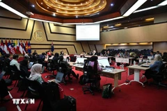 附图：第十三次东盟与新西兰联合合作委员会（ANZJCC）会议现场。图自越通社