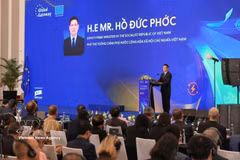 越南政府副总理胡德福在会上发表讲话。图自越通社
