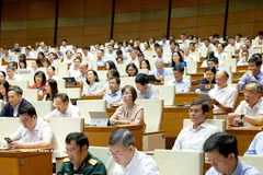 与会代表。图自越通社