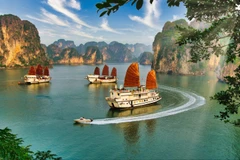 越南下龙湾美景。图自互联网