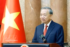 越共中央总书记、国家主席苏林。图自越通社
