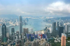 越南—中国香港贸易关系持续向好