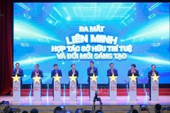 由五所大学组成的知识产权与创新合作联盟正式亮相。图自越通社