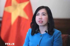 越南外交部副部长黎氏秋姮。图自越通社