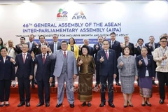 国会主席陈青敏与AIPA各成员议会代表团团长合影。图自越通社
