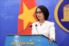 越南外交部发言人范秋姮。图自越通社