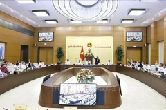国会常务委员会委员表决。图自越通社