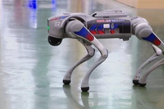 越南制造的“机器狗”引爆2025年秋季博览会