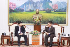 越共中央委员、越南外交部党委常务副书记、外交部副部长阮孟强（左）礼节性拜会老挝人民革命党中央政治局委员、中央书记处常务书记维莱·拉坎丰。图自越通社