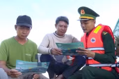 顺化：发挥综合力量 全力解除IUU“黄牌”警告