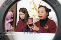 河静省香山鹿茸：借数字化转型“破圈”增值