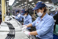 2026年年初越南吸引外资释放积极信号