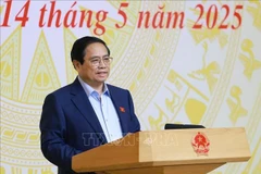 越南政府总理范明政主持召开打击走私、商业欺诈和假冒伪劣商品工作会议。图自越通社