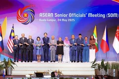 越南外交部副部长杜雄越（左五）和东盟高官会各国代表团代表合影。图自越通社