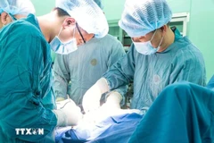越南医疗旅游因胎儿宫内心脏手术成功迎来积极信号 。图自越通社