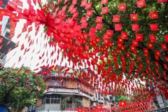 越南革命的一切胜利都源于党的英明和卓越领导