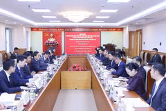 会谈场景。图自越通社