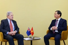 政府副总理兼外交部长裴青山会见新西兰外长彼得斯。图自越通社