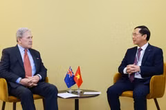 政府副总理兼外交部长裴青山会见新西兰外长彼得斯。图自越通社