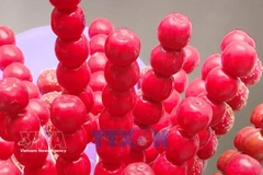 体验中国年俗文化 河内学子乐在其中