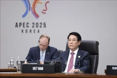 越南国家主席梁强出席亚太经合组织(APEC)第三十二次领导人会议第二阶段会议。图自越通社