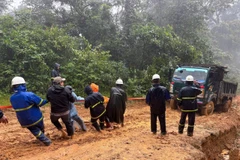 广治电力公司工人们正在克服各种困难，努力在12月15日之前恢复偏远村庄的电力供应。图自越通社