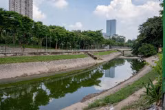 苏历河焕新——从“死河”到“生命之河”的华丽转身