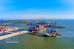 2026年投资机遇——以内生动力为坚实支点