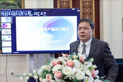 越南驻中国大使馆商务参赞农德来。图自越通社