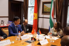 越南国会副主席武鸿青会见南非全国省级事务委员会（上议院）主席雷菲尔韦·姆特什韦尼-齐帕尼。图自越通社