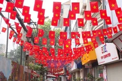 河内“幸福巷”焕新颜：社区共筑文明家园 喜迎越共十四大