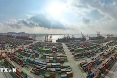 中国上海洋山深水港区。图自越通社