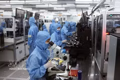 半个世纪厚积薄发 胡志明市迎来新一轮外资热潮