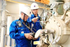 附图 图自baochinhphu.vn